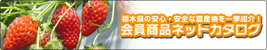 ���ڸ��ΰ¿�������������ʪ����Ҳ𡪡ֲ�����ʥͥåȥ���������