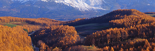top-img