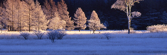 top-img